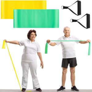 2 Pcs Resistance Band for Seniors with 2 Pcs Handles Exercise Band Specifically Created for Elderly Physical Therapy, Stretch, Recovery, Pilates, Strength Training and Yoga Starter Set