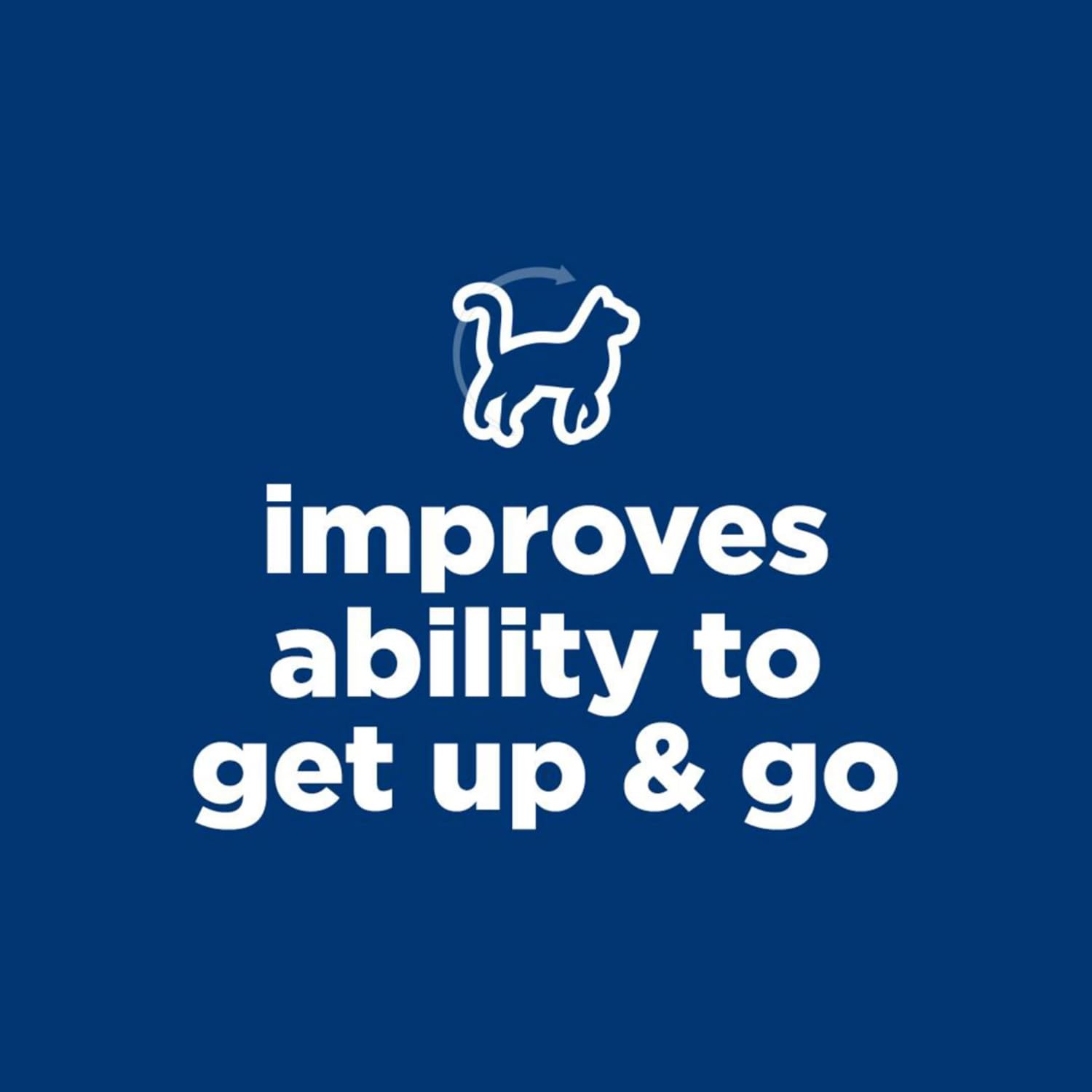 Hill's Science Diet Adult 7+ Senior Vitality Chicken & Rice Recipe Dry Cat Food 3 lbs. - Image 3