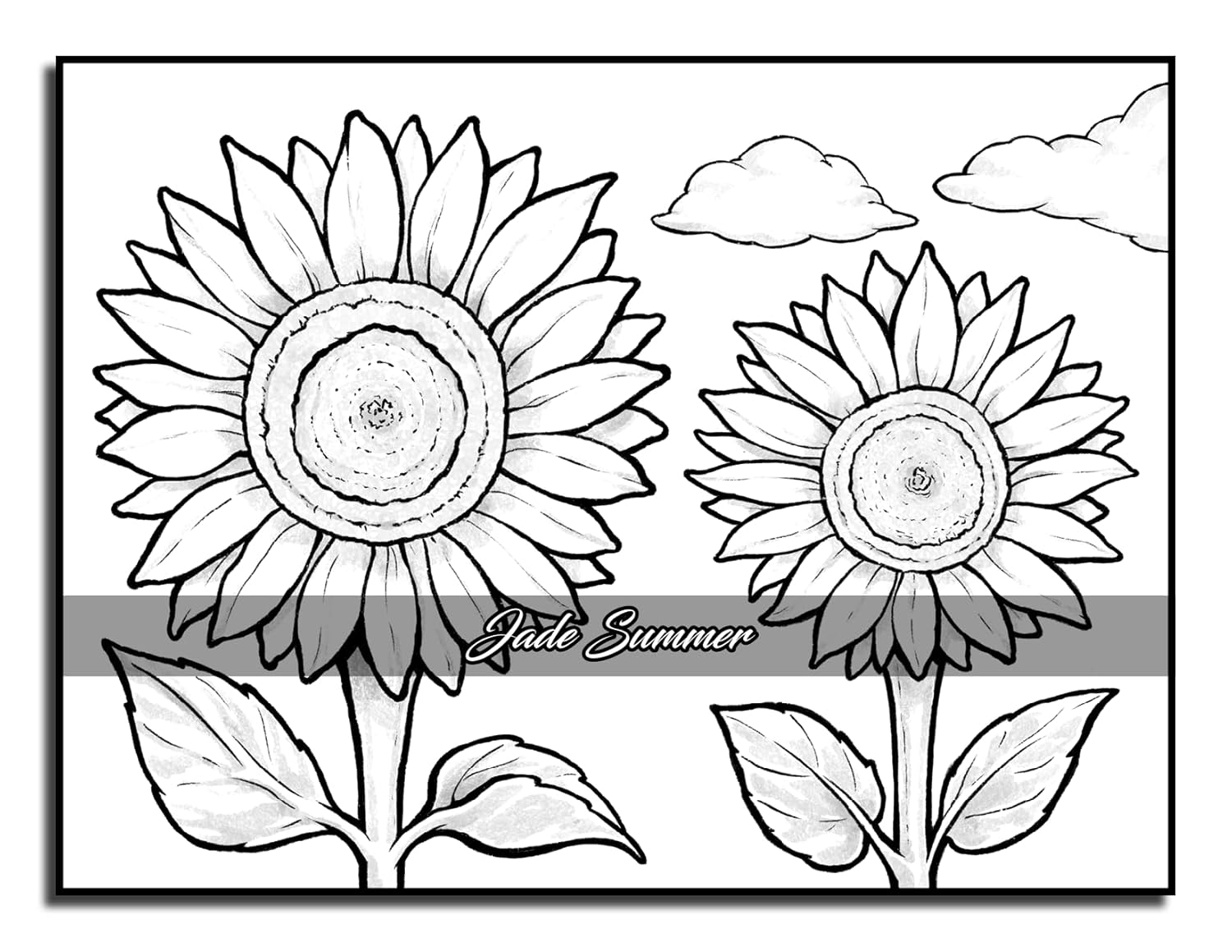 Easy Coloring Book: Large Print Designs for Adults and Seniors with 50 Simple Images of Animals, Flowers, Food, Objects, and More! (Easy Coloring Books) - Image 37