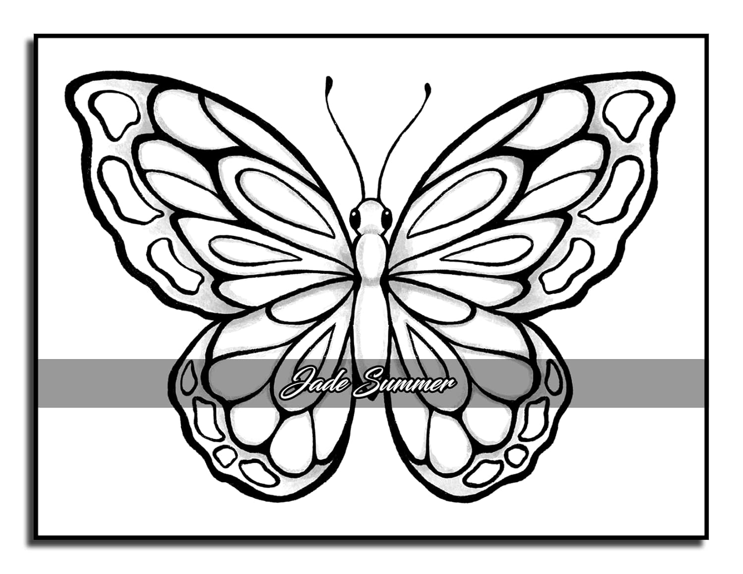 Easy Coloring Book: Large Print Designs for Adults and Seniors with 50 Simple Images of Animals, Flowers, Food, Objects, and More! (Easy Coloring Books) - Image 31