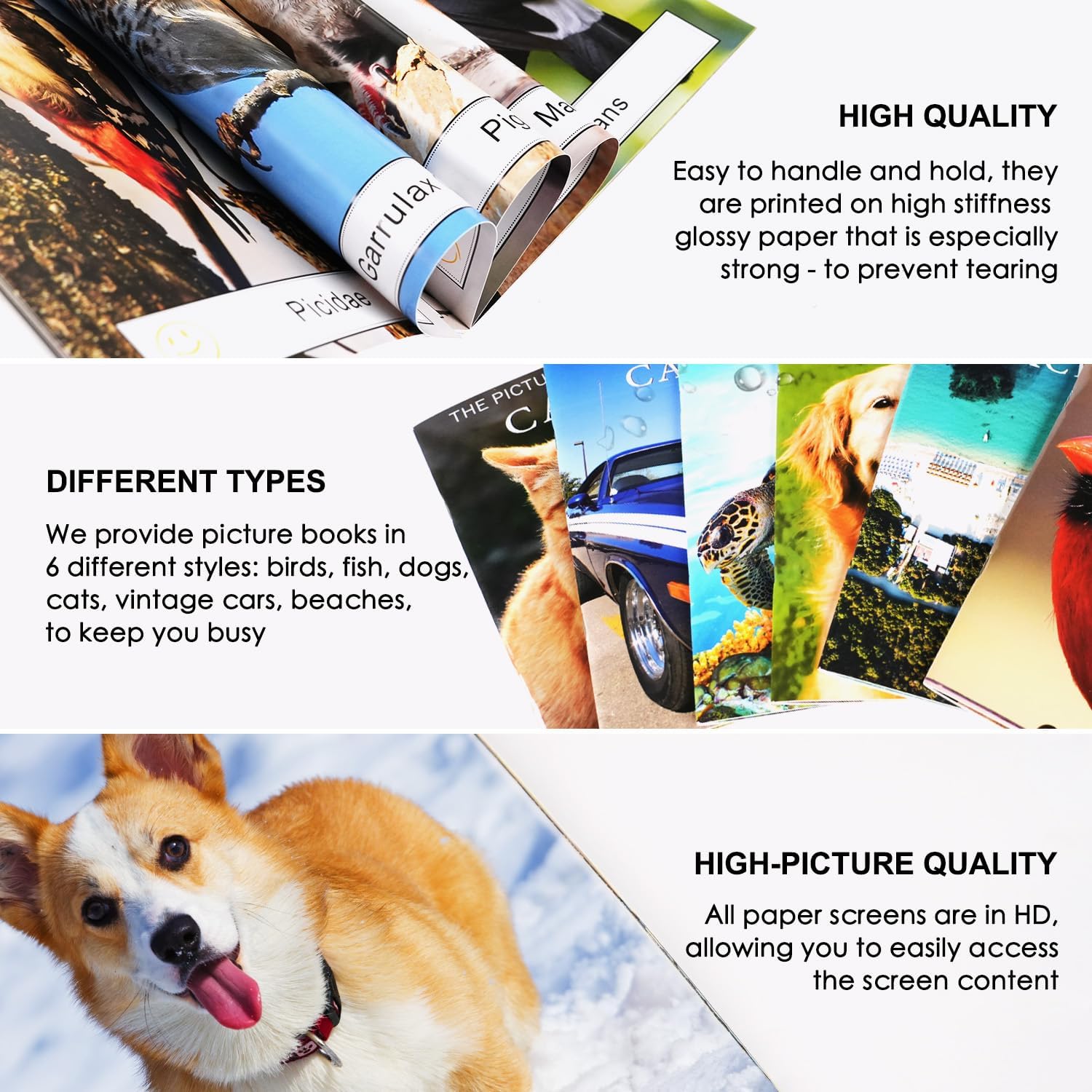 6 Pack Picture Book Set for Seniors with Dementia, Activities for Elderly Seniors, Provide Products for Alzheimer's Patients and Adults, Brain Exercise, Increased Communication - Image 5