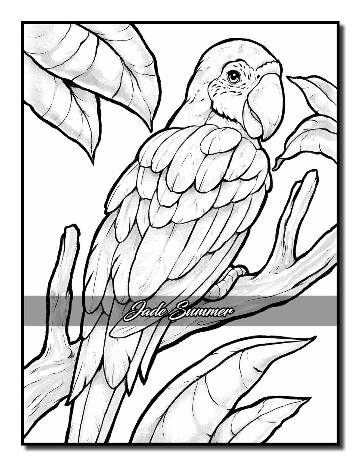 Easy Coloring Book: Large Print Designs for Adults and Seniors with 50 Simple Images of Animals, Flowers, Food, Objects, and More! (Easy Coloring Books) - Image 21
