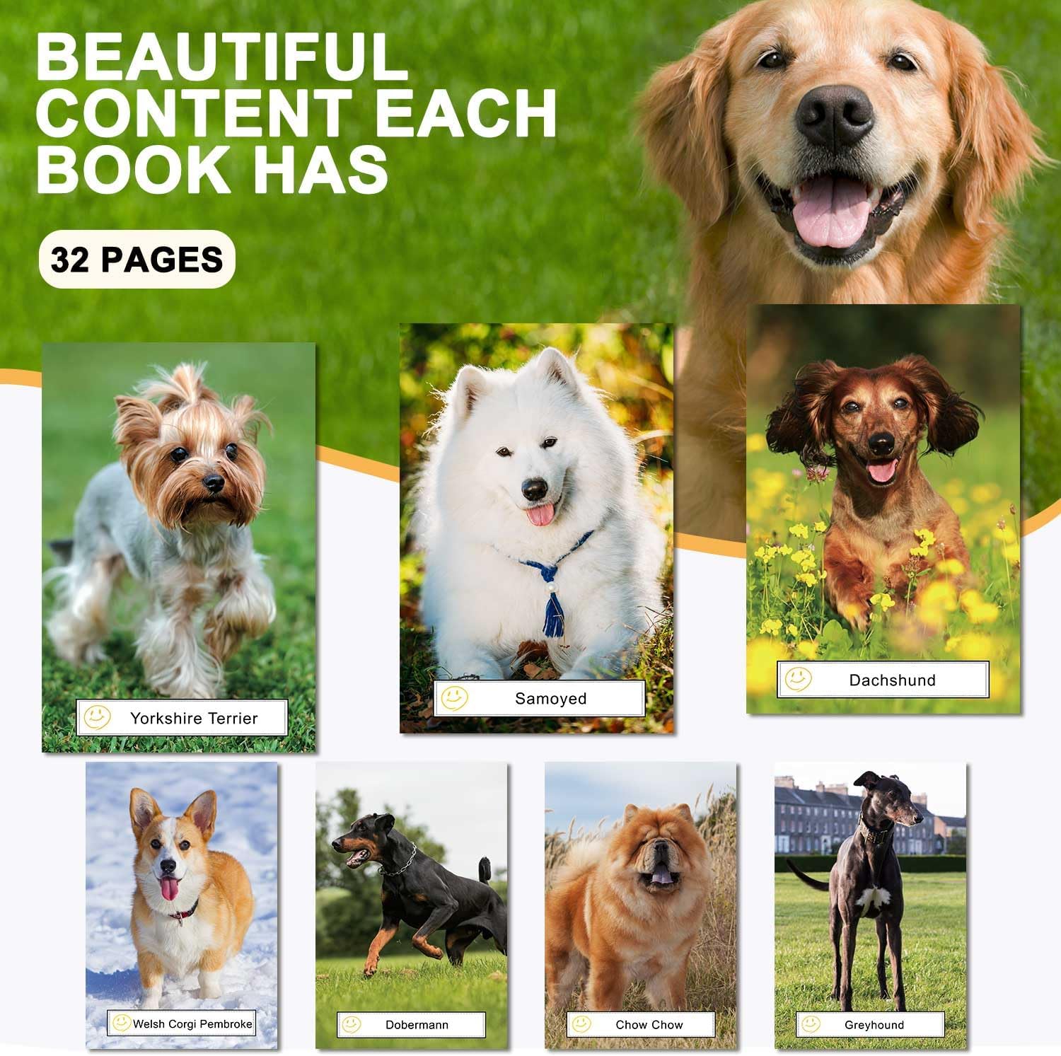 12 Pack Picture Book Set for Seniors with Dementia, Activities for Elderly Seniors, HD Image Quality-Provide Products for Alzheimer's Patients and Adults, Increased Communication - Image 7