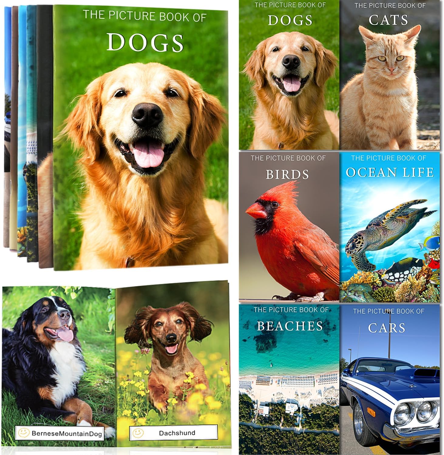 6 Pack Picture Book Set for Seniors with Dementia, Activities for Elderly Seniors, Provide Products for Alzheimer's Patients and Adults, Brain Exercise, Increased Communication