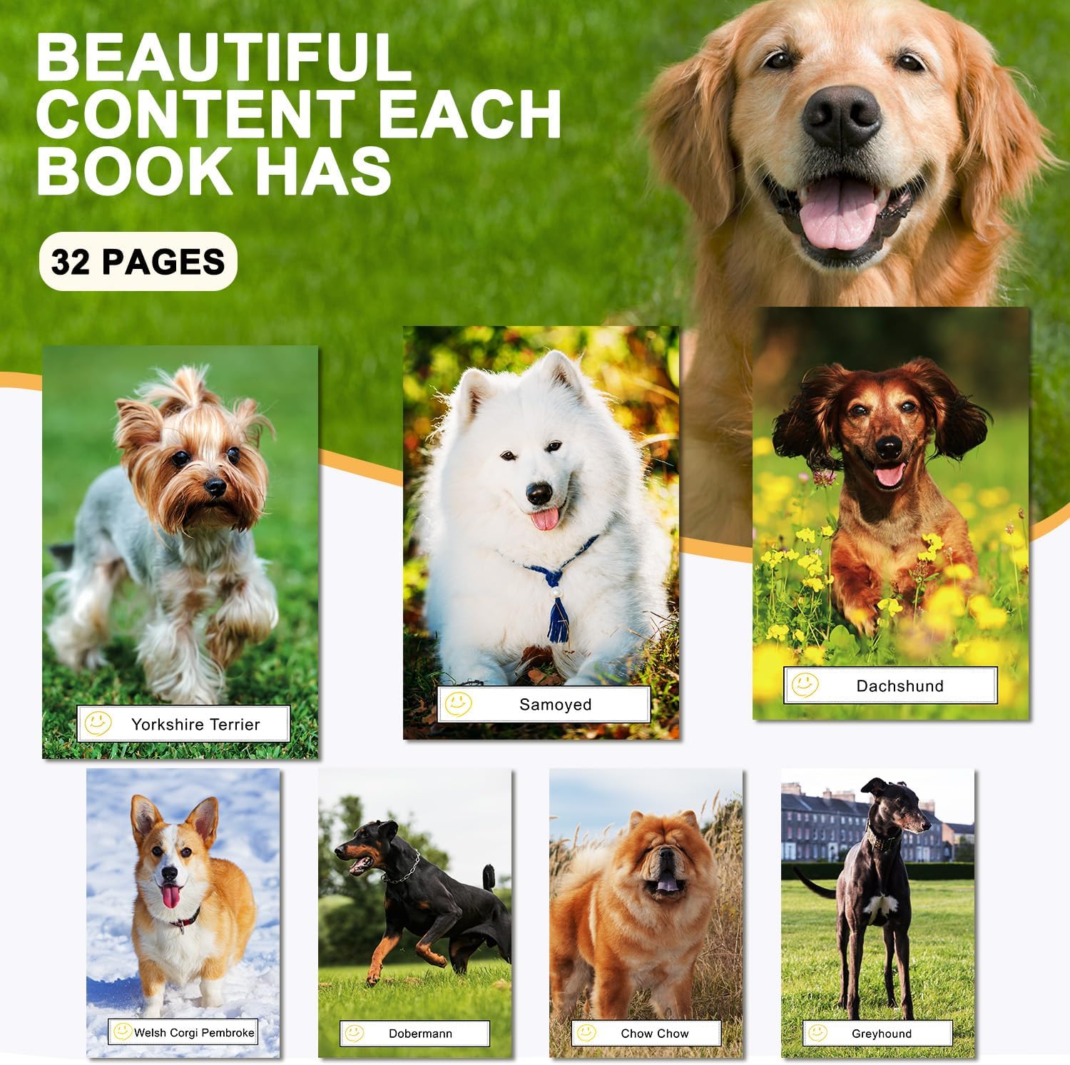 6 Pack Picture Book Set for Seniors with Dementia, Activities for Elderly Seniors, Provide Products for Alzheimer's Patients and Adults, Brain Exercise, Increased Communication - Image 2