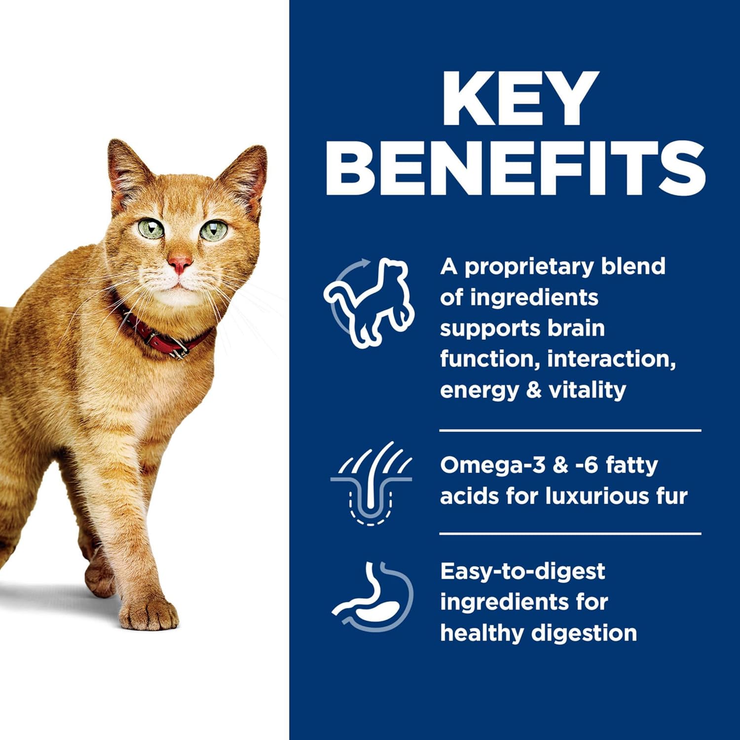 Hill's Science Diet Adult 7+ Senior Vitality Chicken & Rice Recipe Dry Cat Food 3 lbs. - Image 4