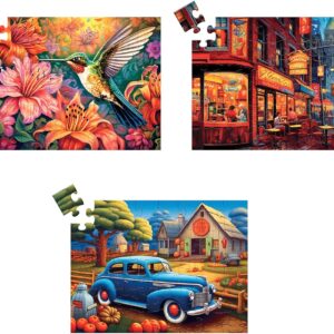 3 Pack 48 Large Piece Puzzle for Seniors Puzzles Dementia Alzheimer's Products and Activities for Elderly Large Piece Puzzles Alzheimer's Easy Puzzles Gift Memory Games for Patients, 3 Storage Bag