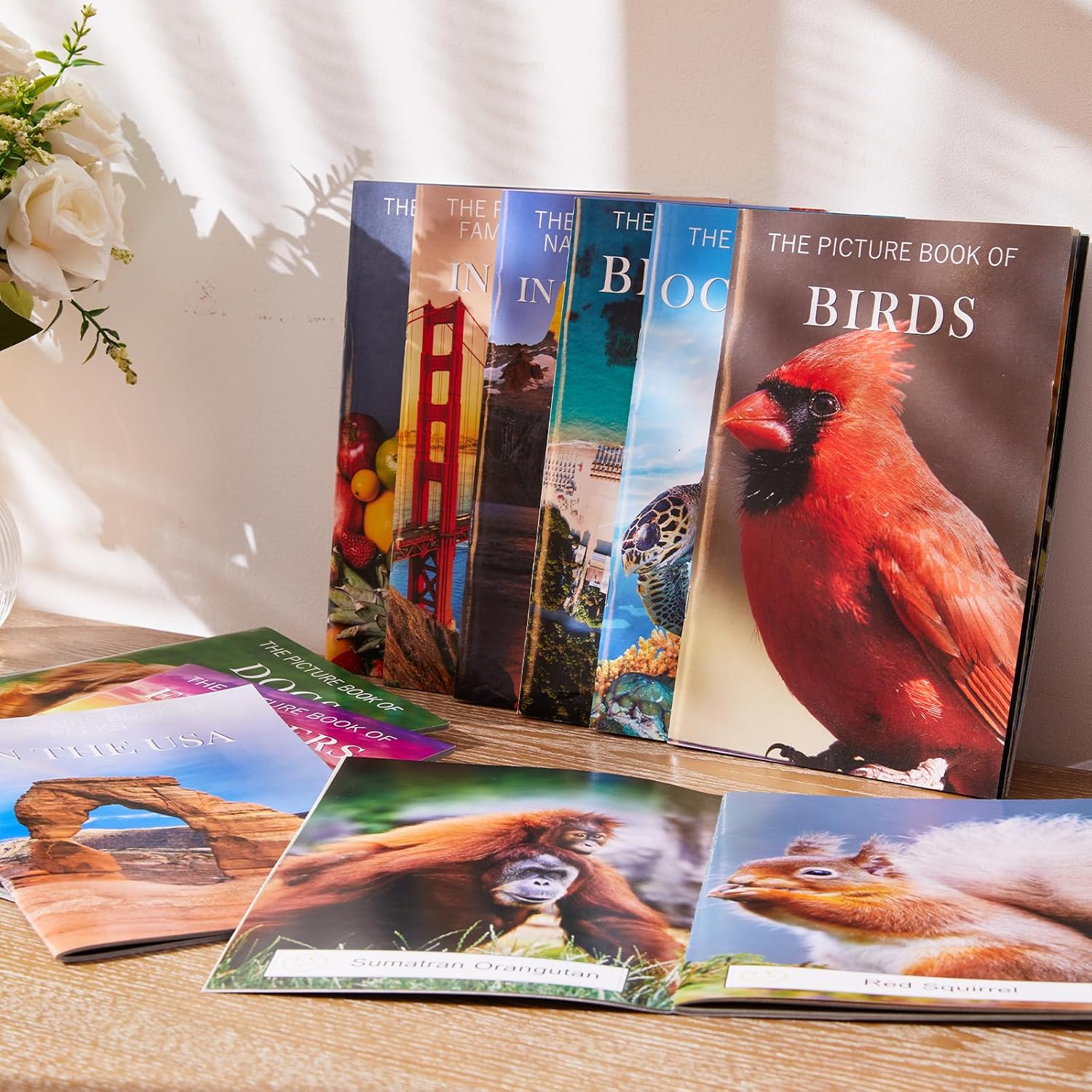 12 Pack Picture Book Set for Seniors with Dementia, Activities for Elderly Seniors, HD Image Quality-Provide Products for Alzheimer's Patients and Adults, Increased Communication - Image 2