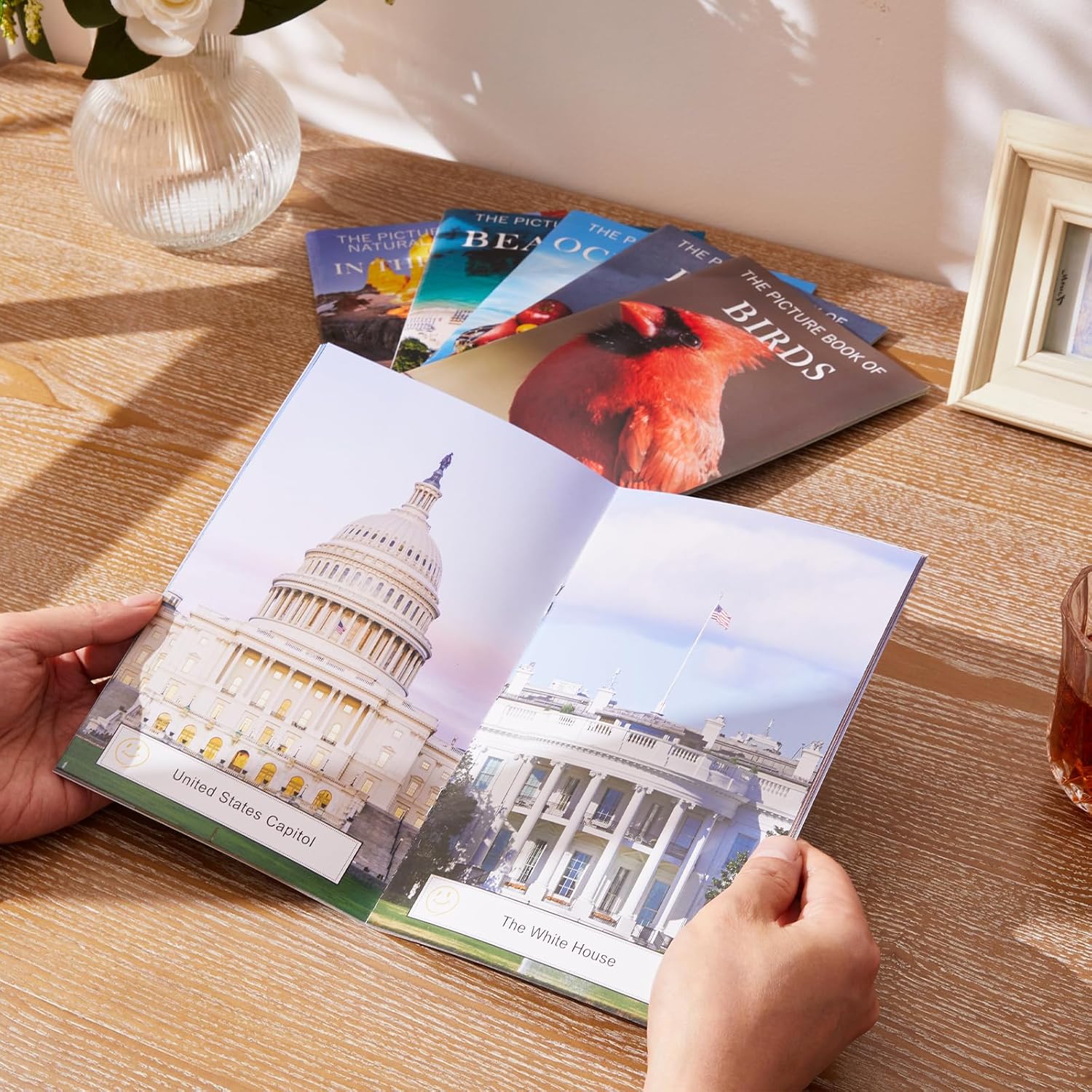 12 Pack Picture Book Set for Seniors with Dementia, Activities for Elderly Seniors, HD Image Quality-Provide Products for Alzheimer's Patients and Adults, Increased Communication - Image 4