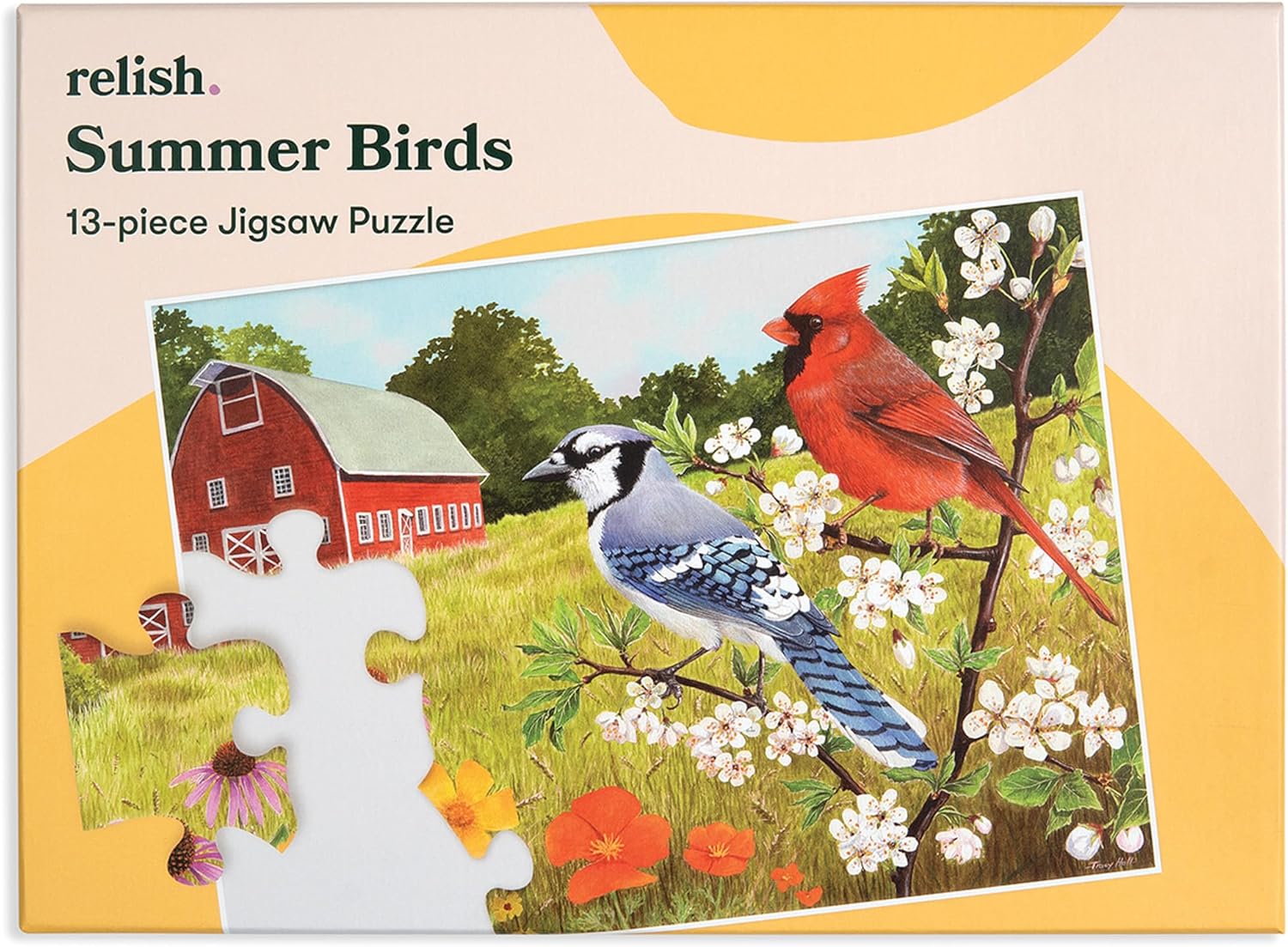 Relish Large Piece Puzzles for Seniors, 13 Piece Summer Birds Jigsaw Puzzle, Dementia Products for Elderly