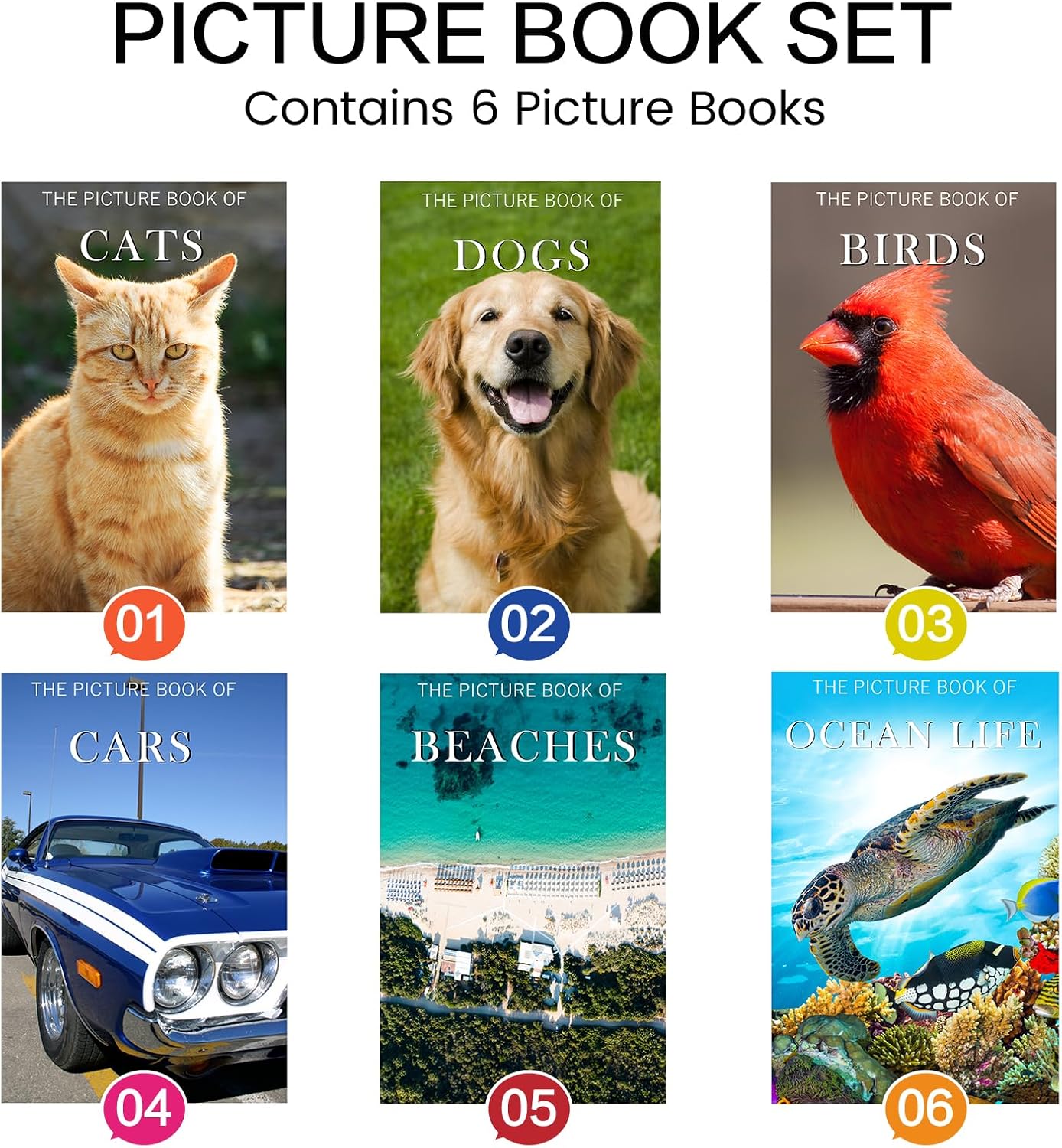 6 Pack Picture Book Set for Seniors with Dementia, Activities for Elderly Seniors, Provide Products for Alzheimer's Patients and Adults, Brain Exercise, Increased Communication - Image 8