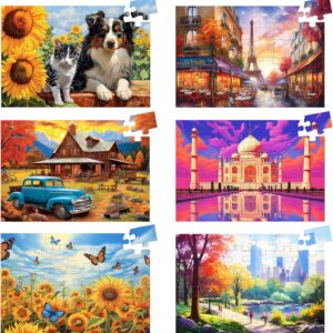 6 Pack 36 Large Piece Puzzles for Seniors Puzzle Dementia Alzheimer's Products Activities for Elderly Adults Easy Jigsaw Puzzle Alzheimer's Gift for Patients in Nursing Home with 6 Storage Bags