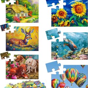 6 Packs Large Jigsaw Puzzles for Seniors Elderly 9&16 Piece, Dementia Activities for Senior & Alzheimers Activities Product Cognitive Memory Game 12.5X9.4inch