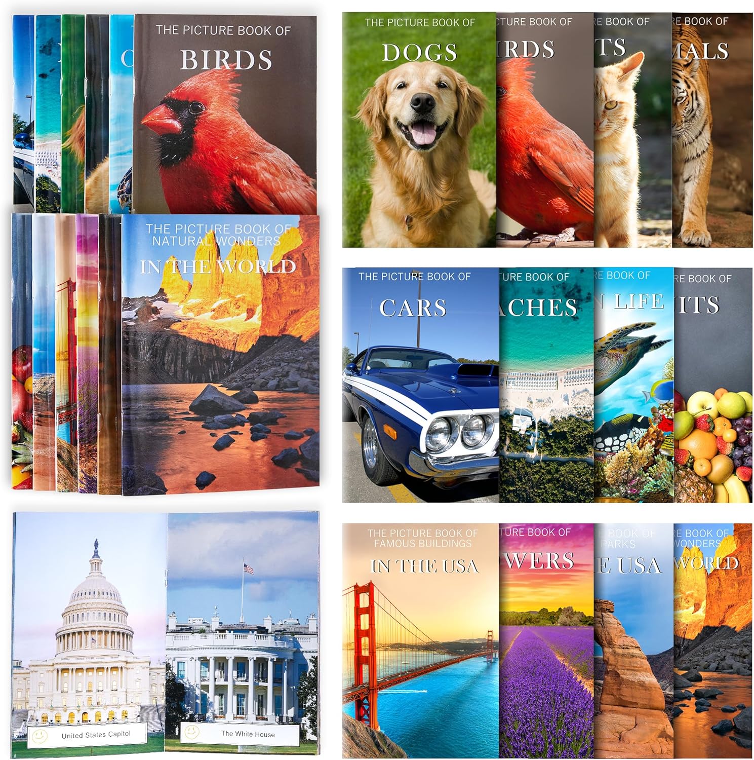 12 Pack Picture Book Set for Seniors with Dementia, Activities for Elderly Seniors, HD Image Quality-Provide Products for Alzheimer's Patients and Adults, Increased Communication