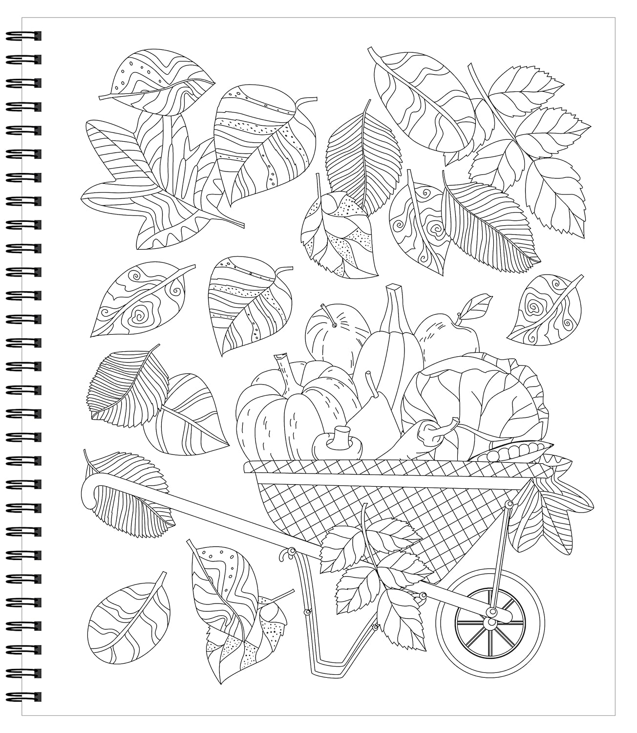 Large Print Easy Color & Frame - Garden (Stress Free Coloring Book) - Image 3