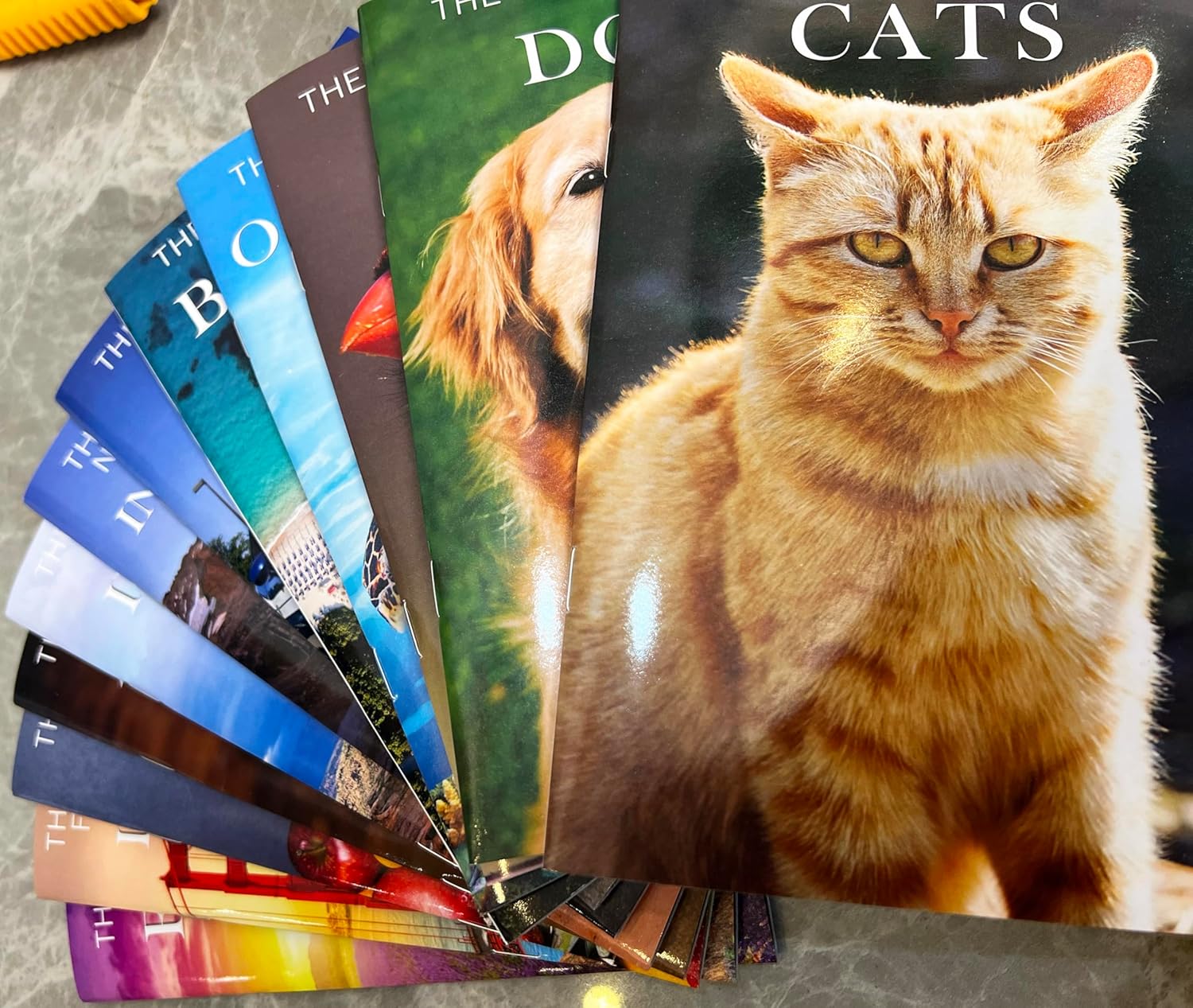 12 Pack Picture Book Set for Seniors with Dementia, Activities for Elderly Seniors, HD Image Quality-Provide Products for Alzheimer's Patients and Adults, Increased Communication - Image 6